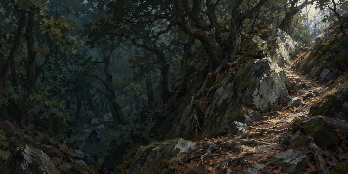 A rough path climbs through shadowed woodland between gnarled trees and pale rocks.