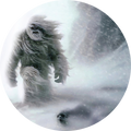 Tracks of the Yeti Vanilla Kcup