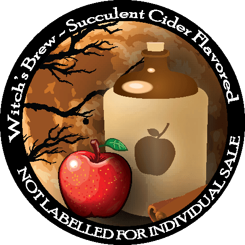 Succulent Cider Coffee - Kcup